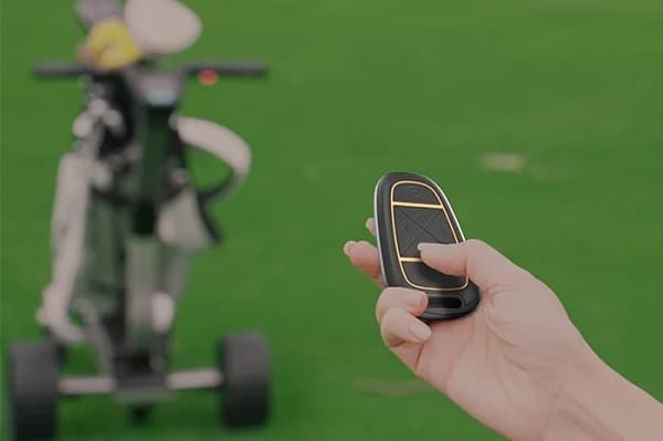 Remote Summon